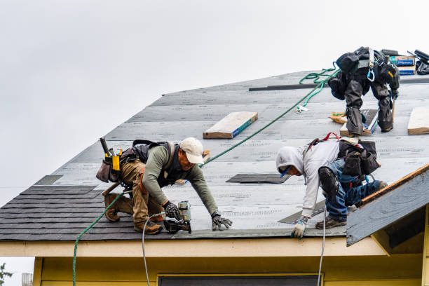 Professional Flat Roof Repair technician working in Euclid, MN